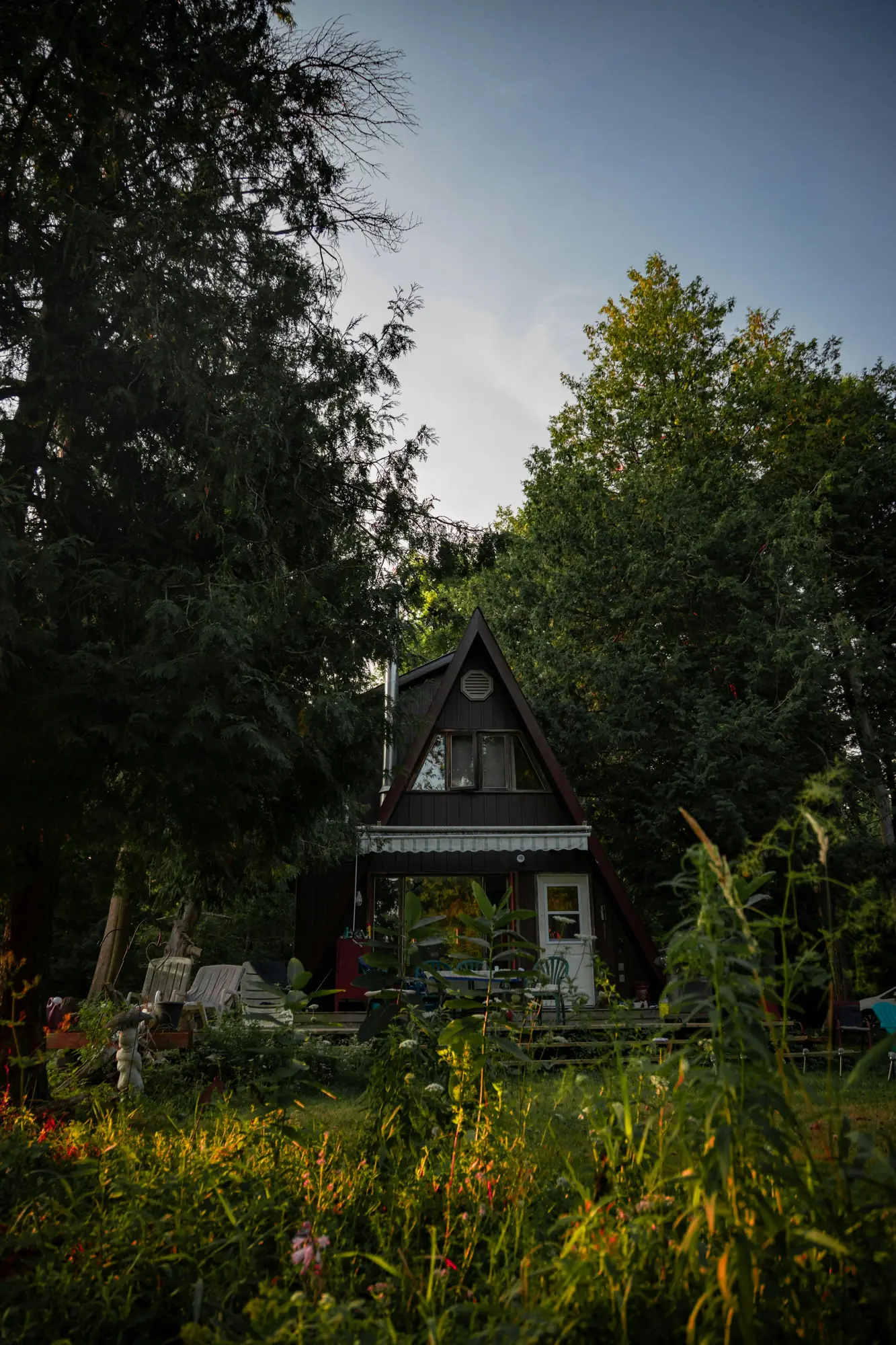 Cabane en A au milieu d'une forêt verdoyante