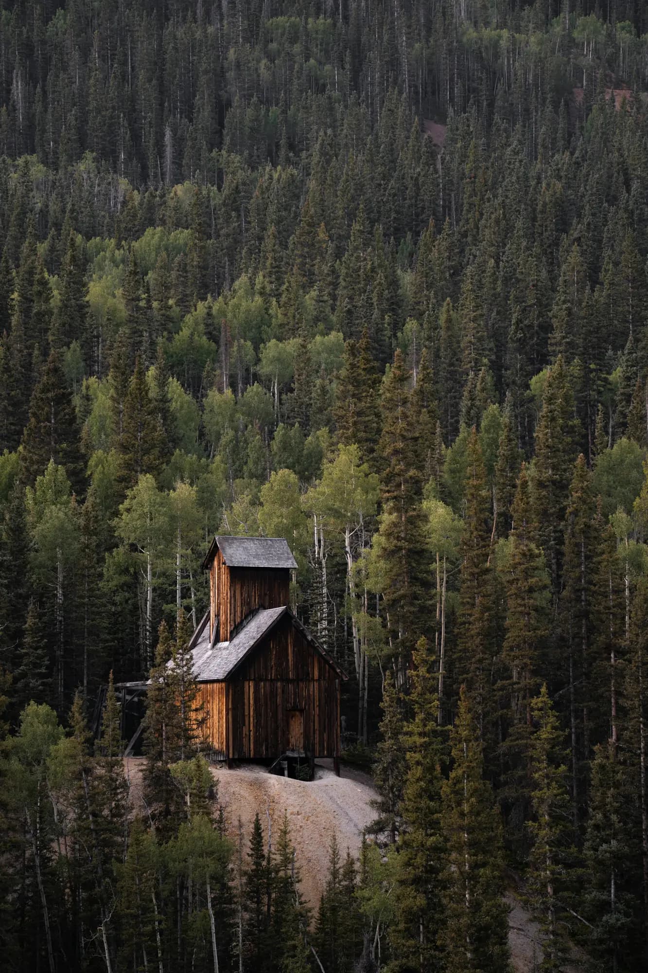 Cabane en bois au milieu d'une forêt de conifères