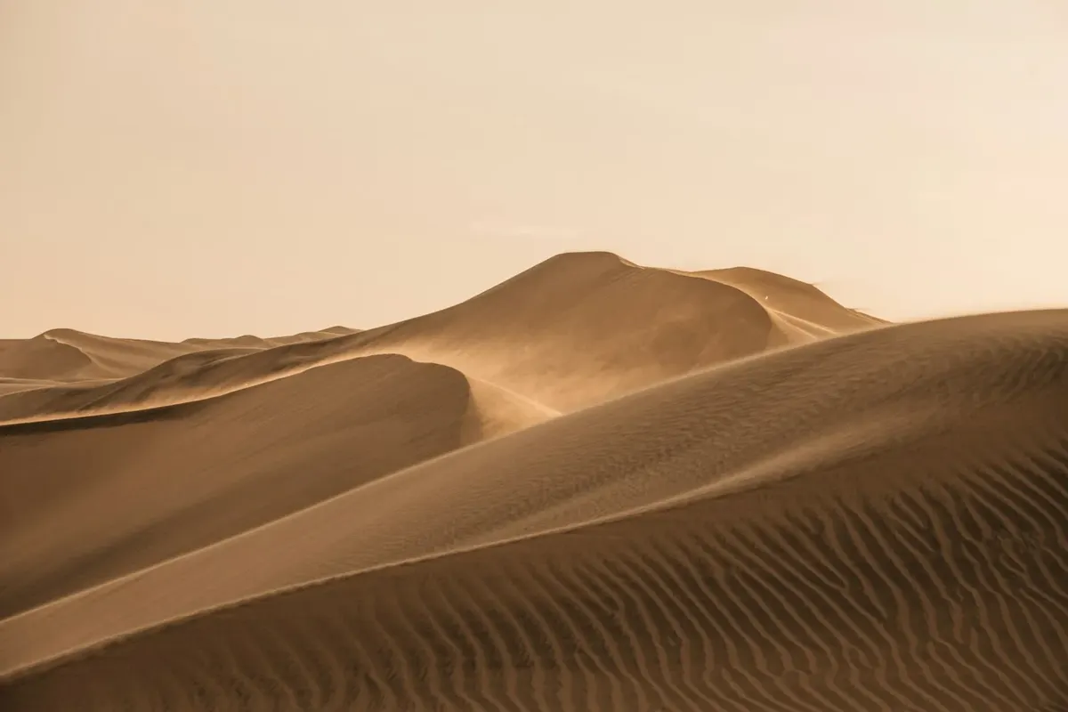 Sanddünen in weichem Licht