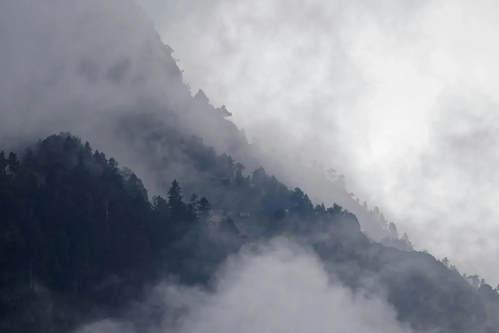 Bewaldeter Berg im Nebel