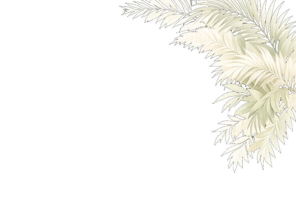 Frondes de palmiers, ombre précieuse